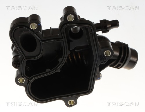 Thermostat d'eau (Calorstat) Triscan A/S 8620 60488