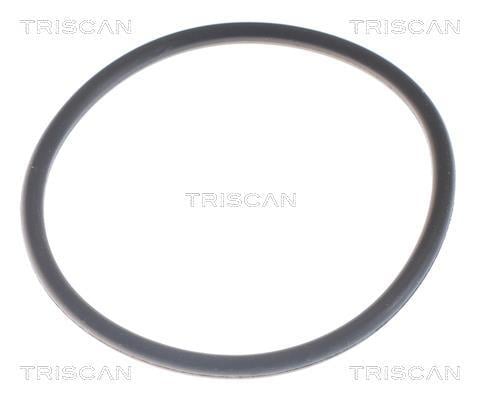Thermostat d'eau (Calorstat) Triscan A/S ref. 8620 6382