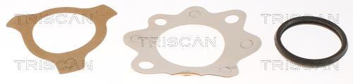 Thermostat d'eau (Calorstat) Triscan A/S 8620 6482