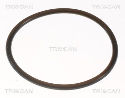 Thermostat d'eau (Calorstat) Triscan A/S ref. 8620 7082