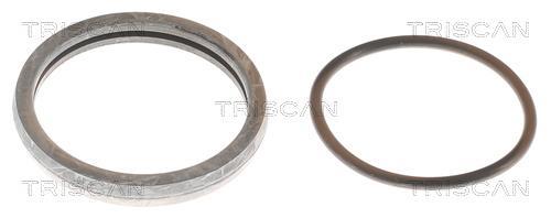 Thermostat d'eau (Calorstat) Triscan A/S 8620 7782