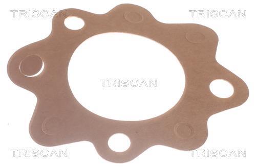 Termóstato de água Triscan A/S ref. 8620 7882