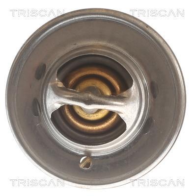 Termóstato de água Triscan A/S ref. 8620 7888