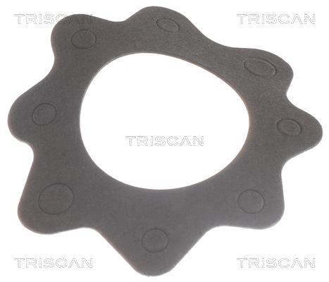 Termóstato de água Triscan A/S ref. 8620 7888