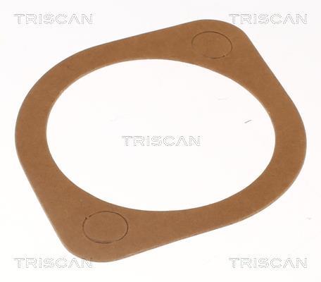 Termóstato de água Triscan A/S ref. 8620 8382