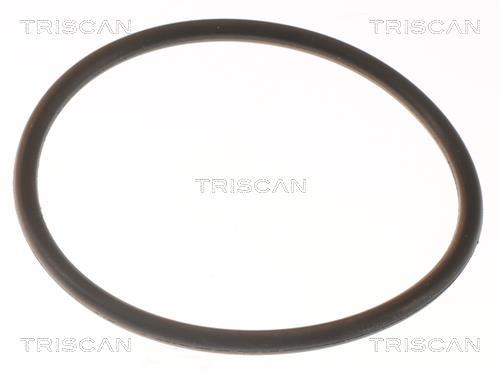 Termóstato de água Triscan A/S ref. 8620 8388