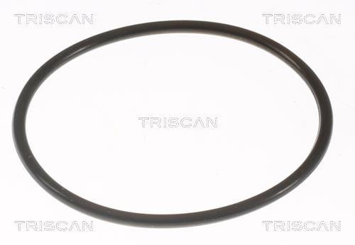 Thermostat d'eau (Calorstat) Triscan A/S 8620 8792