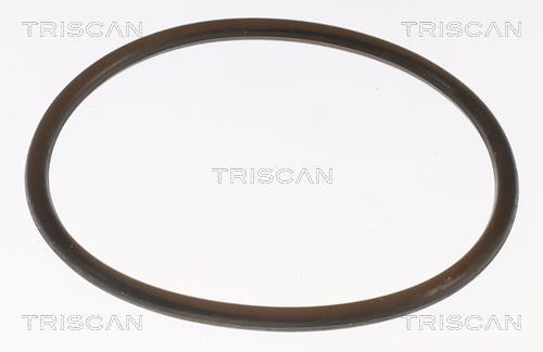 Thermostat d'eau (Calorstat) Triscan A/S 8620 8888