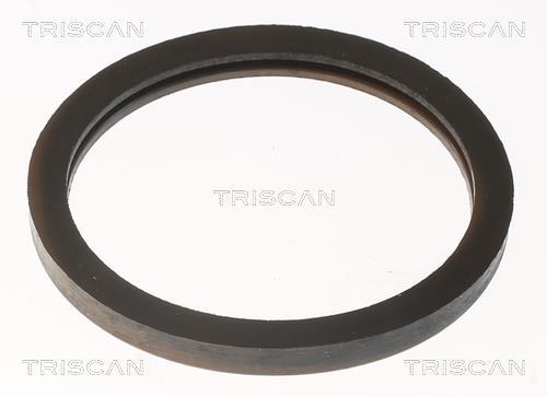 Thermostat d'eau (Calorstat) Triscan A/S 8620 9488