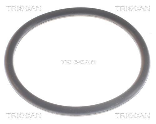 Thermostat d'eau (Calorstat) Triscan A/S 8620 9491