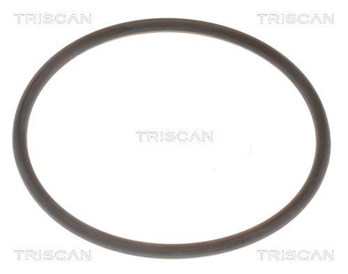 Thermostat d'eau (Calorstat) Triscan A/S 8620 9688