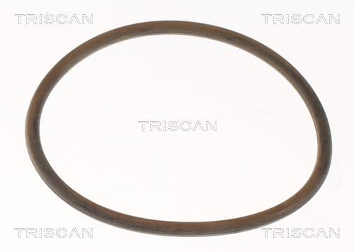 Thermostat d'eau (Calorstat) Triscan A/S ref. 8620 9691