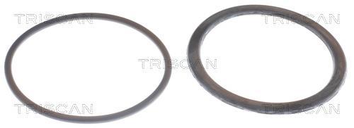 Termóstato de água Triscan A/S 8620 9785