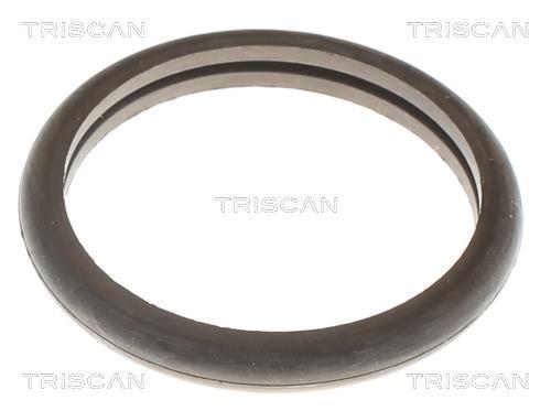 Thermostat d'eau (Calorstat) Triscan A/S 8620 9892