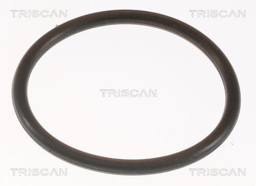 Thermostat d'eau (Calorstat) Triscan A/S 8620 9991