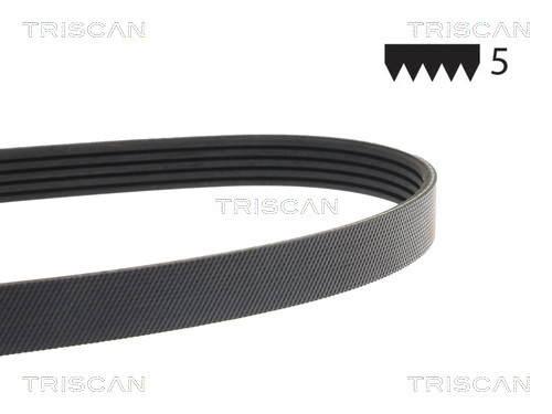 Correia trapezoidal estriada Triscan A/S ref. 8640 501256EST