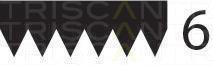 Correia trapezoidal estriada Triscan A/S ref. 8640 600684sf
