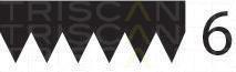 Correia trapezoidal estriada Triscan A/S ref. 8640 600780sf