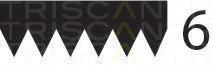 Correia trapezoidal estriada Triscan A/S ref. 8640 600842sf