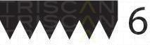 Correia trapezoidal estriada Triscan A/S ref. 8640 600842sf