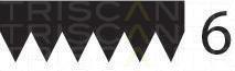 Correia trapezoidal estriada Triscan A/S ref. 8640 600873sf