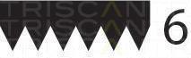 Correia trapezoidal estriada Triscan A/S ref. 8640 601019sf