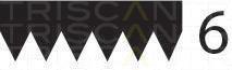 Correia trapezoidal estriada Triscan A/S ref. 8640 601019sf