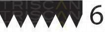 Correia trapezoidal estriada Triscan A/S ref. 8640 601029sf