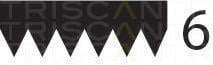 Correia trapezoidal estriada Triscan A/S ref. 8640 601090sf