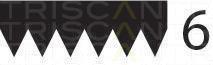 Correia trapezoidal estriada Triscan A/S ref. 8640 601090sf