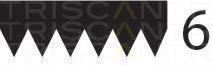 Correia trapezoidal estriada Triscan A/S ref. 8640 601830xs