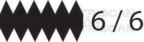 Correia trapezoidal estriada Triscan A/S ref. 8640 661698