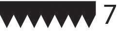 Correia trapezoidal estriada Triscan A/S ref. 8640 701275T