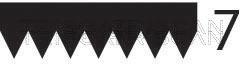 Correia trapezoidal estriada Triscan A/S ref. 8640 702315
