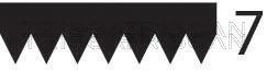 Correia trapezoidal estriada Triscan A/S ref. 8640 702328