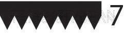 Correia trapezoidal estriada Triscan A/S 8640 702535