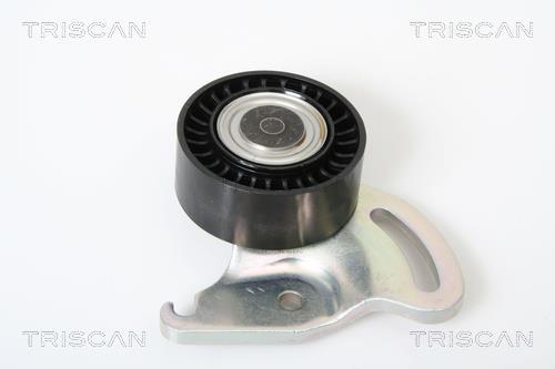Polea tensora, correa auxiliar servicios Triscan A/S ref. 8641 101004