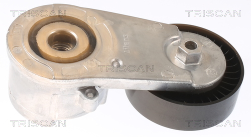 Tensor de correa, correa poli V Triscan A/S 8641 101011