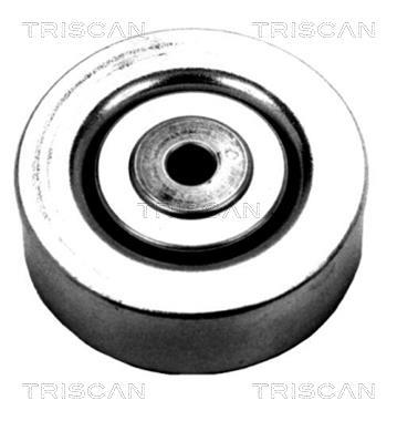Polea inversión/guía, correa auxiliar servicios Triscan A/S ref. 8641 102009