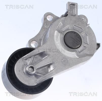 Brazo tensor, correa poli V Triscan A/S ref. 8641 103054