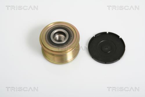 Rueda libre alternador Triscan A/S ref. 8641 104005