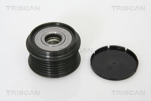 Rueda libre alternador Triscan A/S ref. 8641 104006