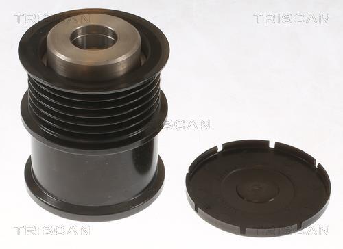 Rueda libre alternador Triscan A/S ref. 8641 104024