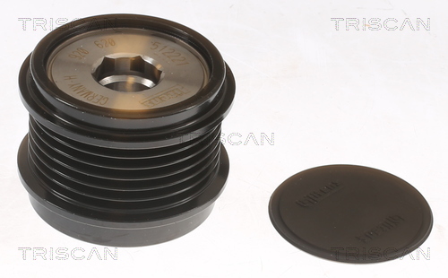 Rueda libre alternador Triscan A/S ref. 8641 104025