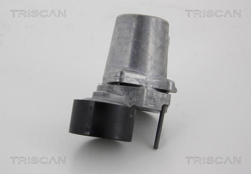 Galet tendeur de courroie d'accessoire Triscan A/S 8641 111022