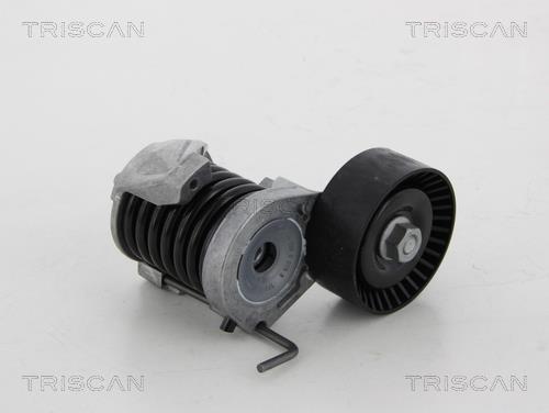Tensor de correa, correa poli V Triscan A/S ref. 8641 113038