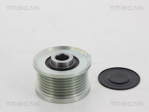 Rueda libre alternador Triscan A/S ref. 8641 134002