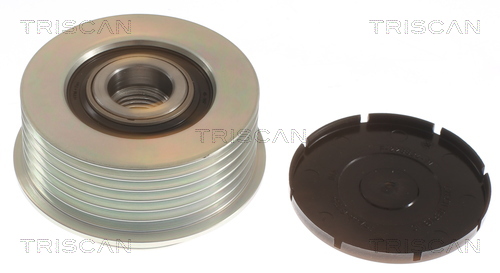 Rueda libre alternador Triscan A/S ref. 8641 134009