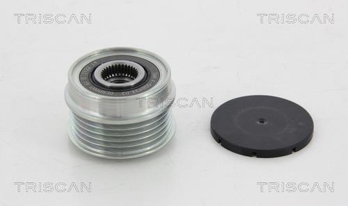 Rueda libre alternador Triscan A/S ref. 8641 154007