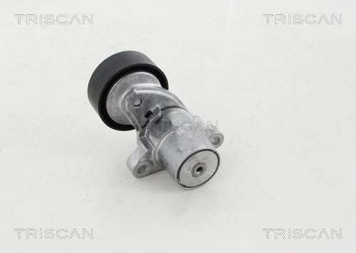 Rolo tensor da correia trapezoidal estriada Triscan A/S ref. 8641 163023